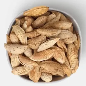 Premium Kashmiri Almonds with Shell – Fresh Shell-On Badam | Maximum Freshness